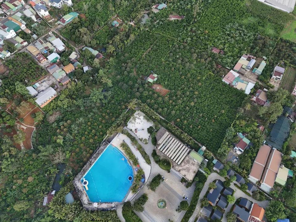 Tại Lê Thị Phượng
